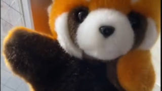 公認 会計士 ブログ 公認会計士 人気ブログランキングとブログ検索 Amp Petmd Com